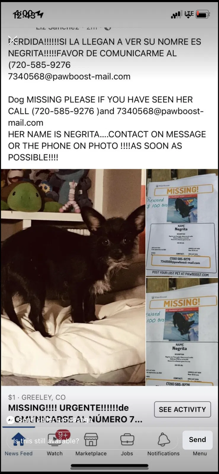 Lost dog in Greeley, CO, 80634