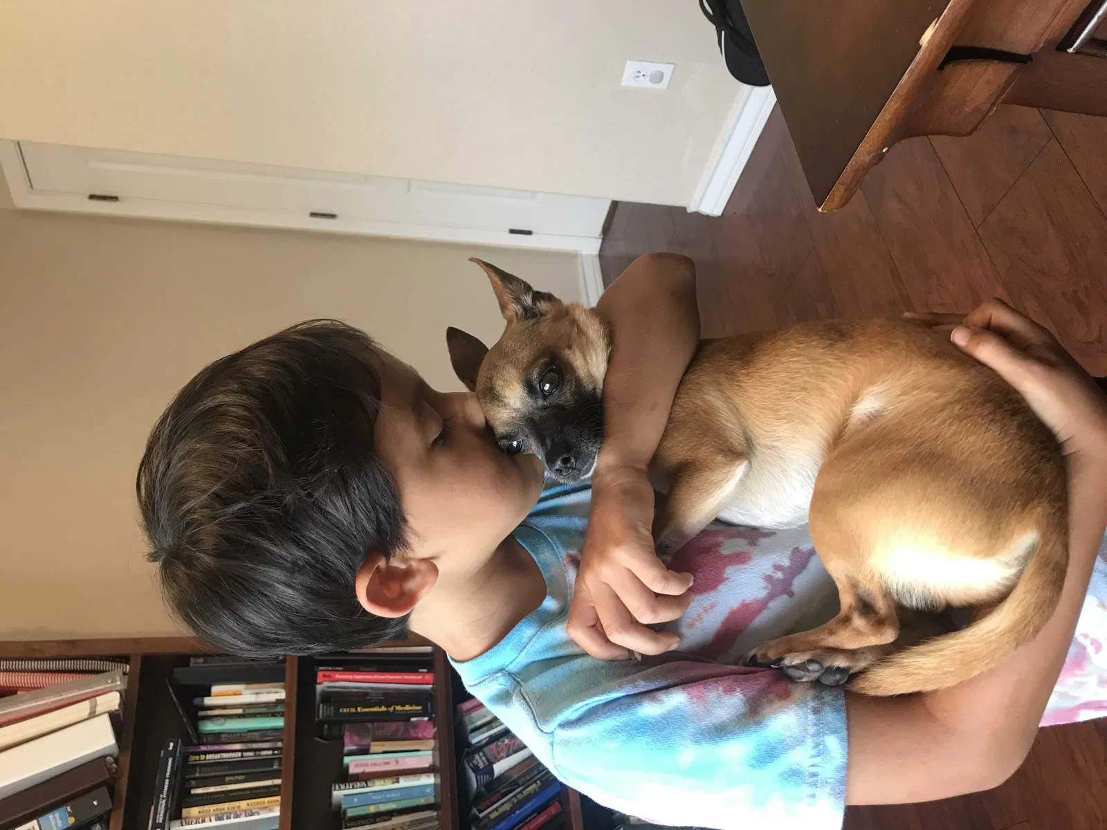 Lost dog in Mico, TX, 78056