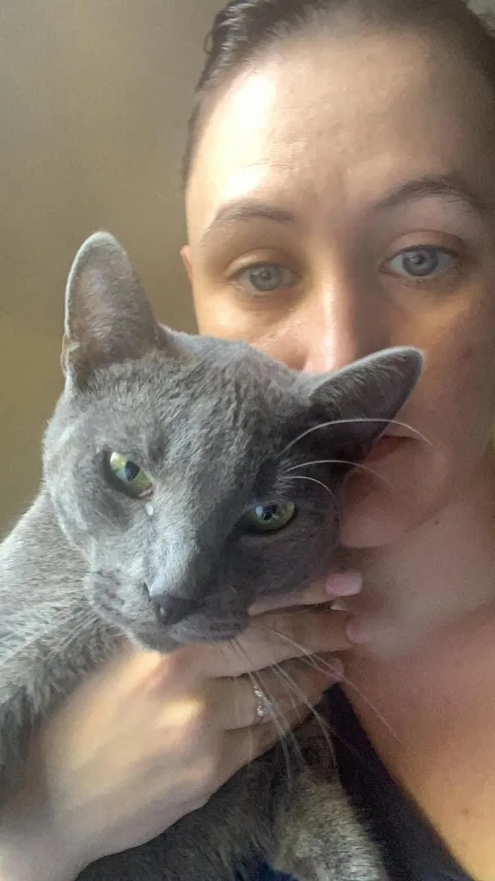 Lost cat in Jackson, CA, 95642