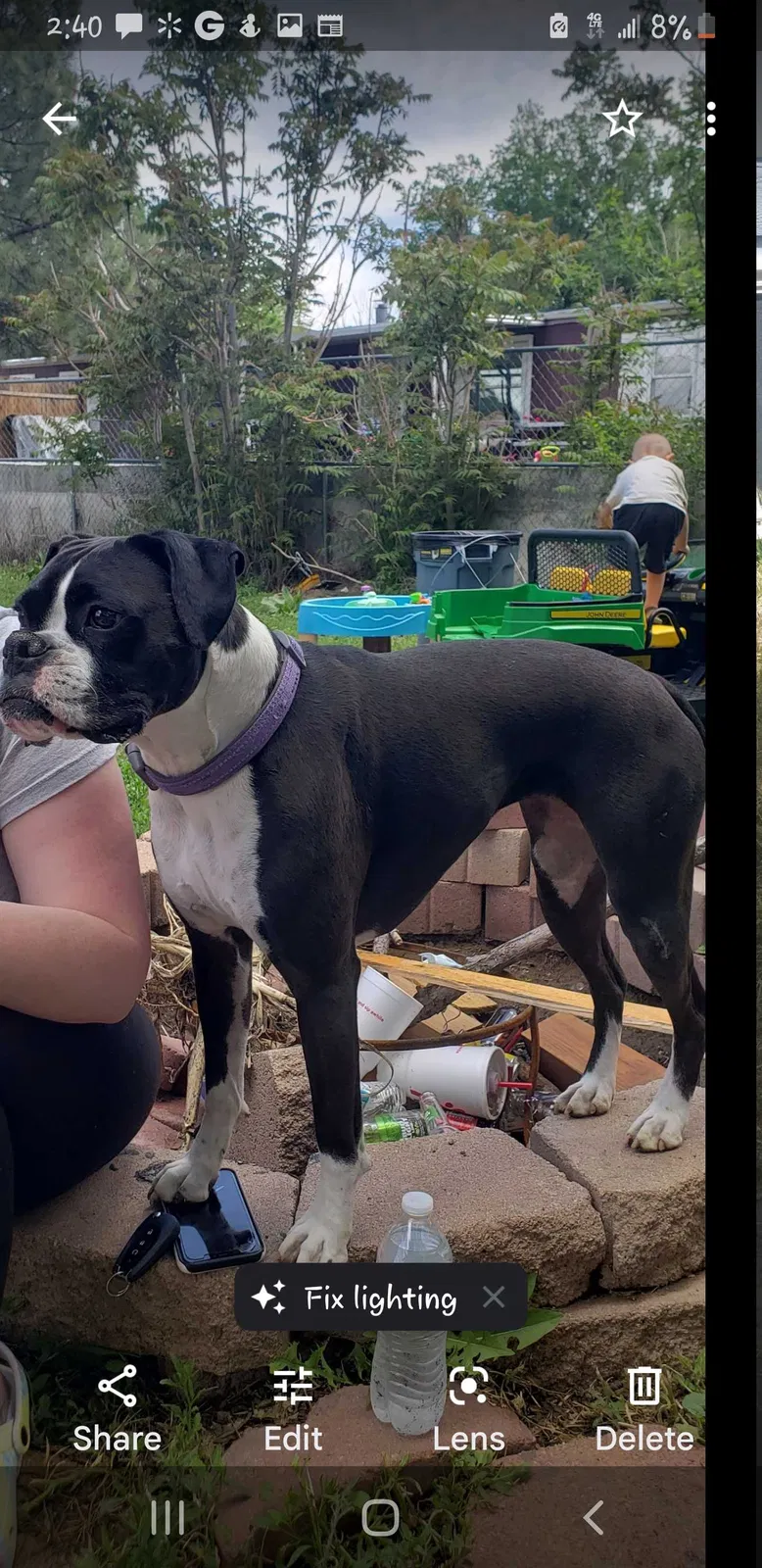 Lost dog in Fountain, CO, 80817