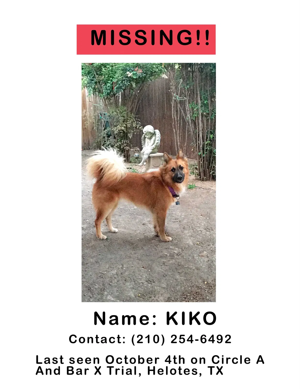 Lost dog in Helotes, TX, 78023