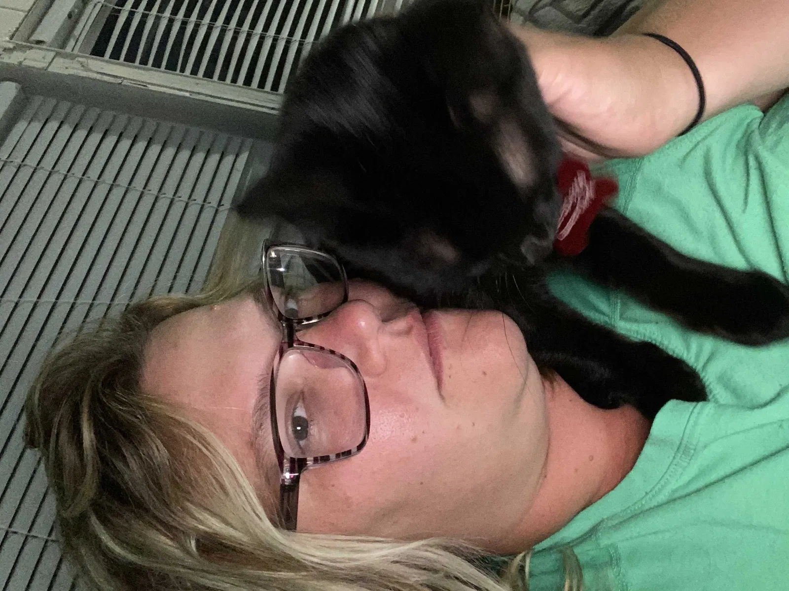 Lost cat in Chino Valley, AZ, 86323