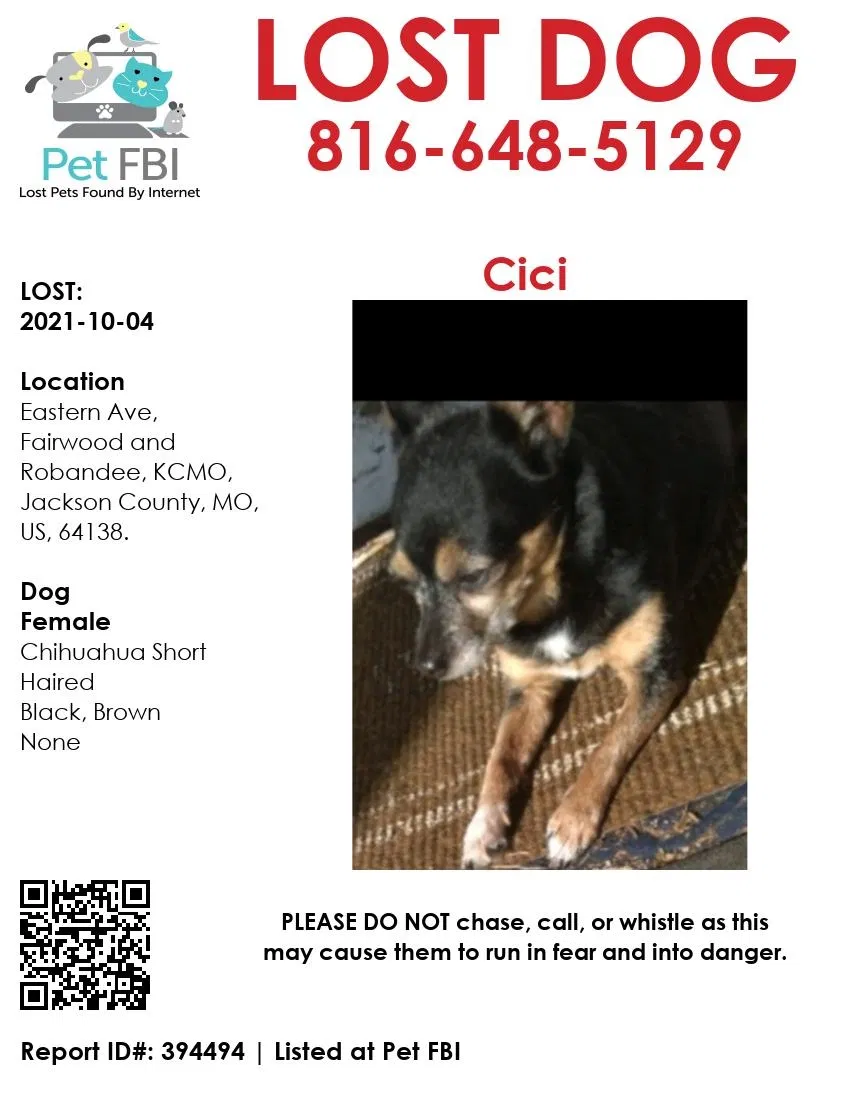 Lost dog in Kansas City, MO, 64138