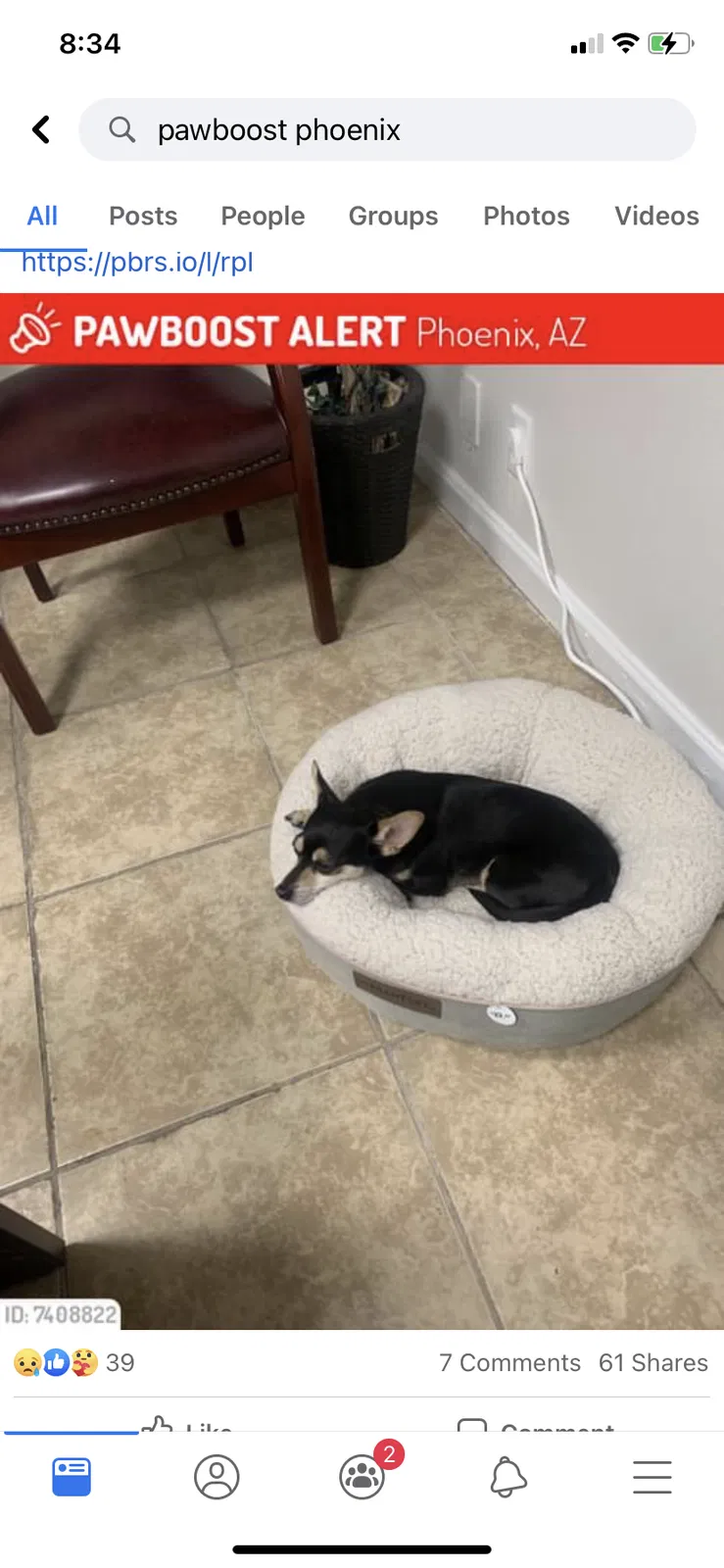 Lost dog in Phoenix, AZ, 85015