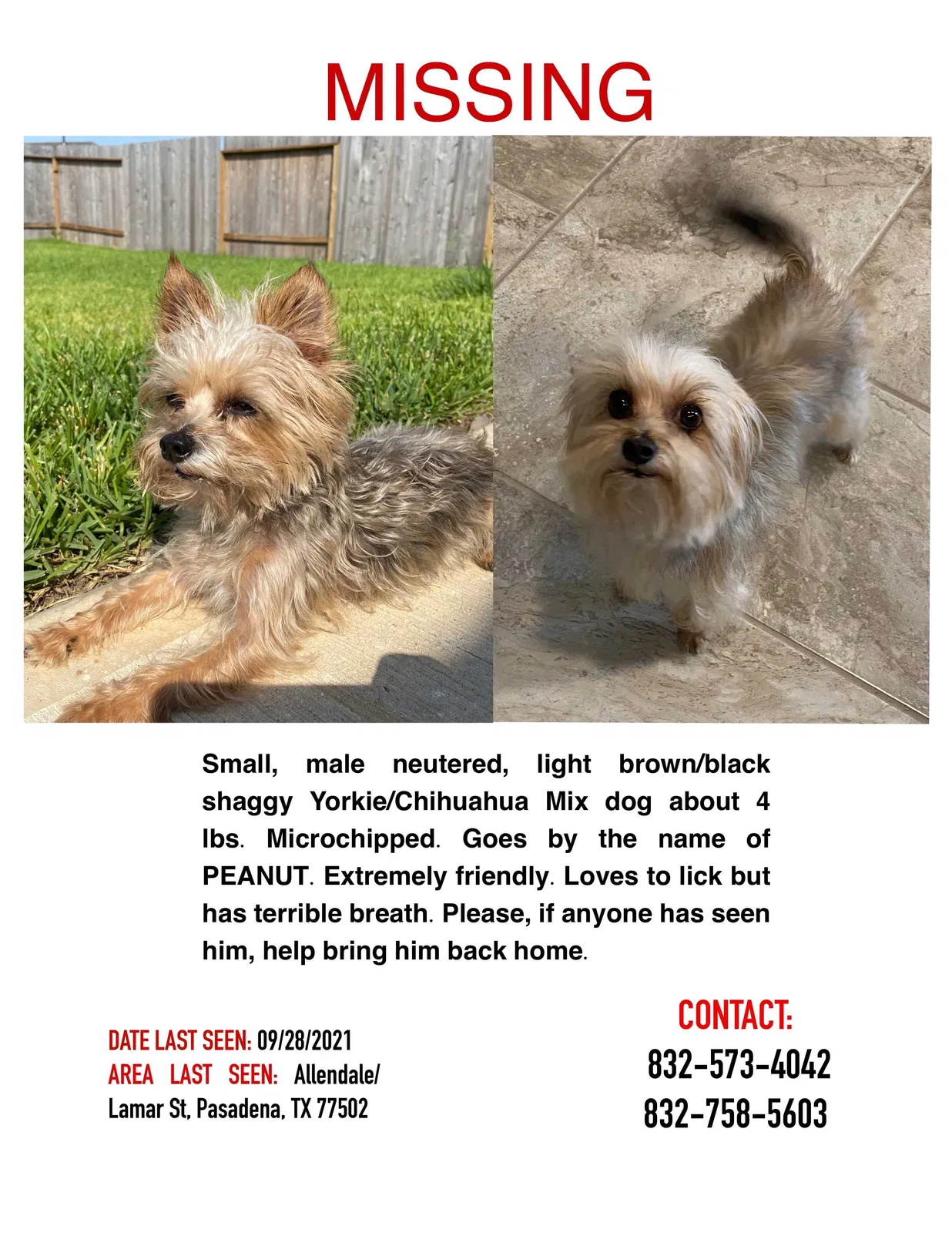 Lost dog in Pasadena, TX, 77502
