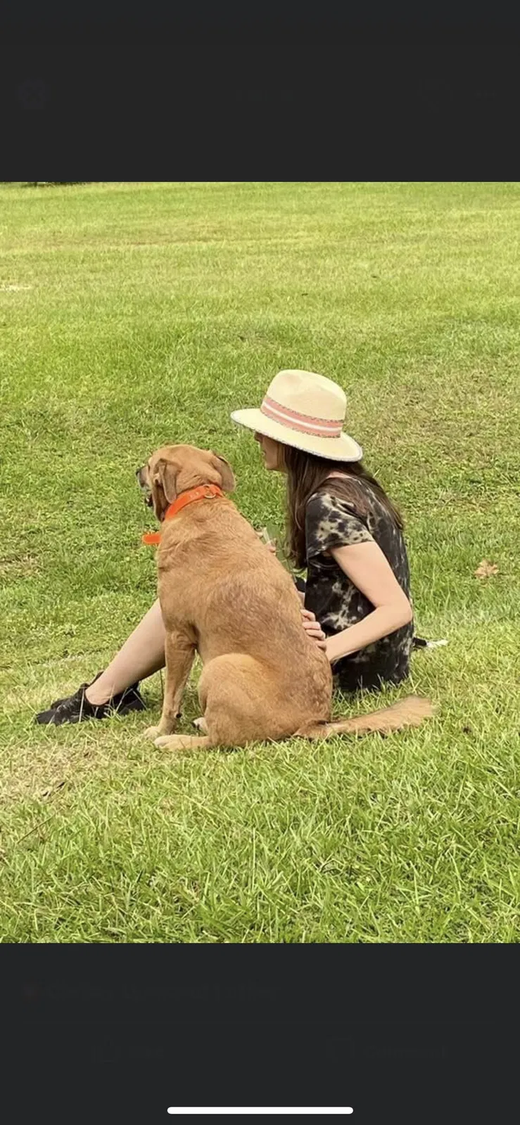 Lost dog in Woodville, MS, 39669