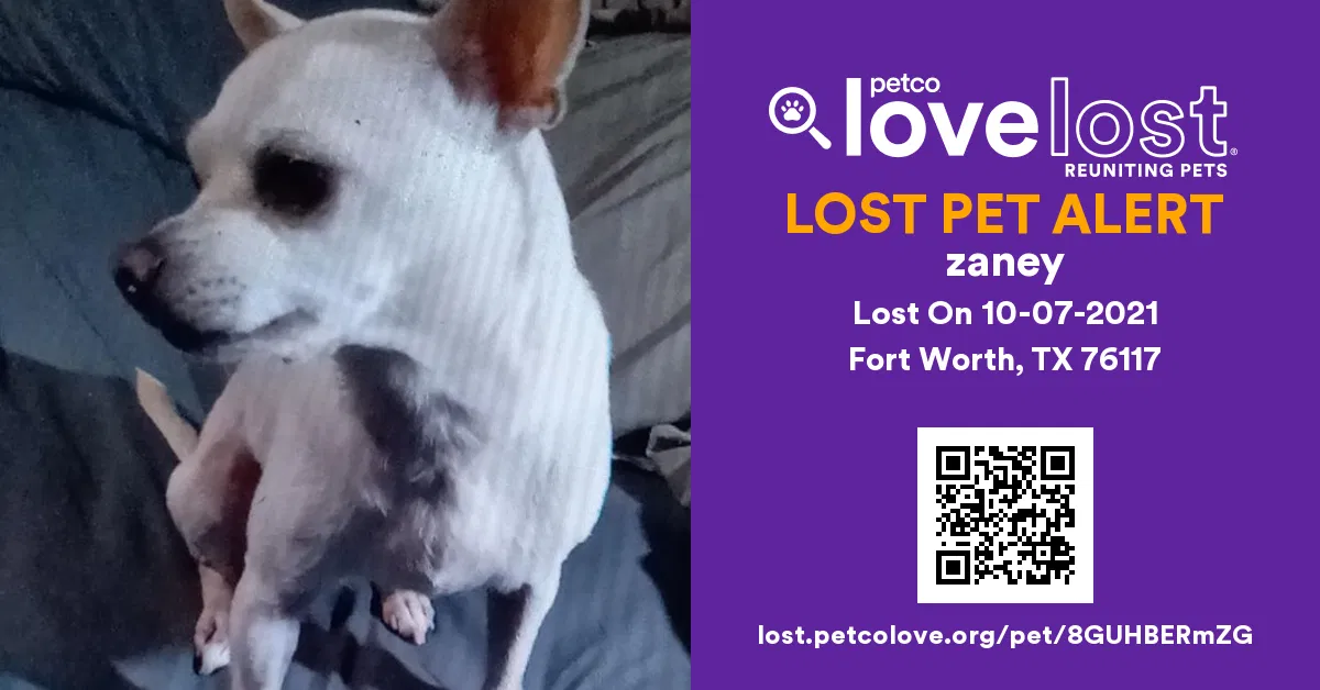 Lost dog in Haltom City, TX, 76117