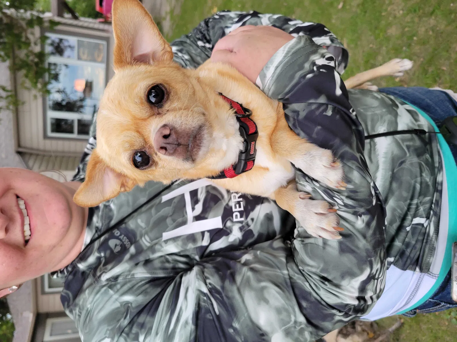 Lost dog in Mc Farland, WI, 53558