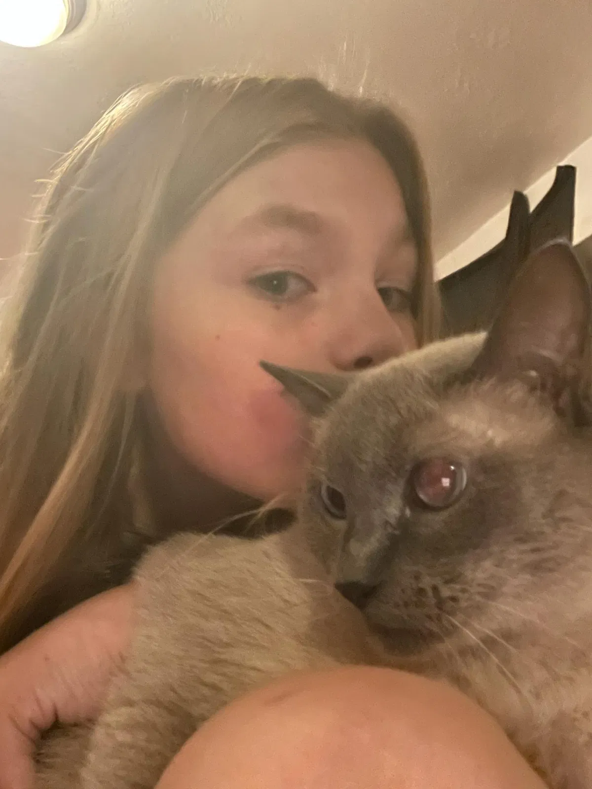 Lost cat in Ogden, UT, 84401
