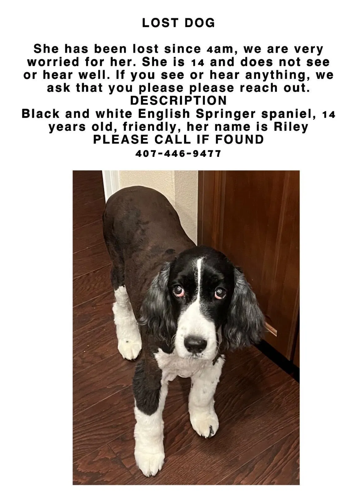 Lost dog in Orlando, FL, 32812