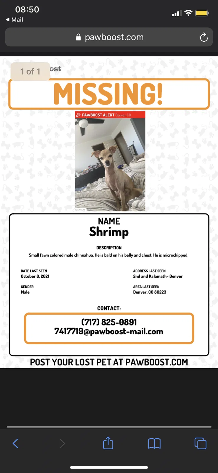 Lost dog in Denver, CO, 80233