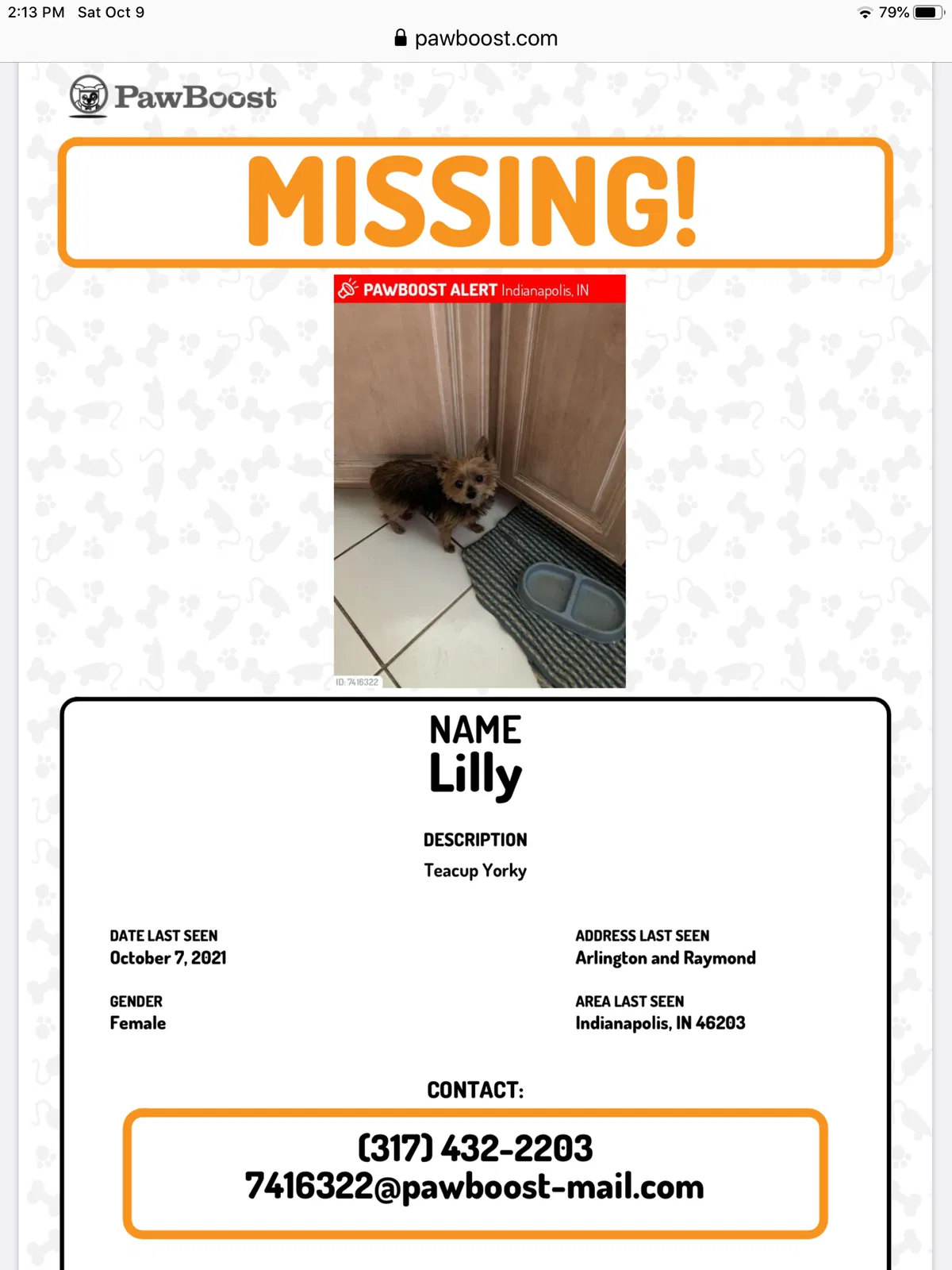 Lost dog in Indianapolis, IN, 46203