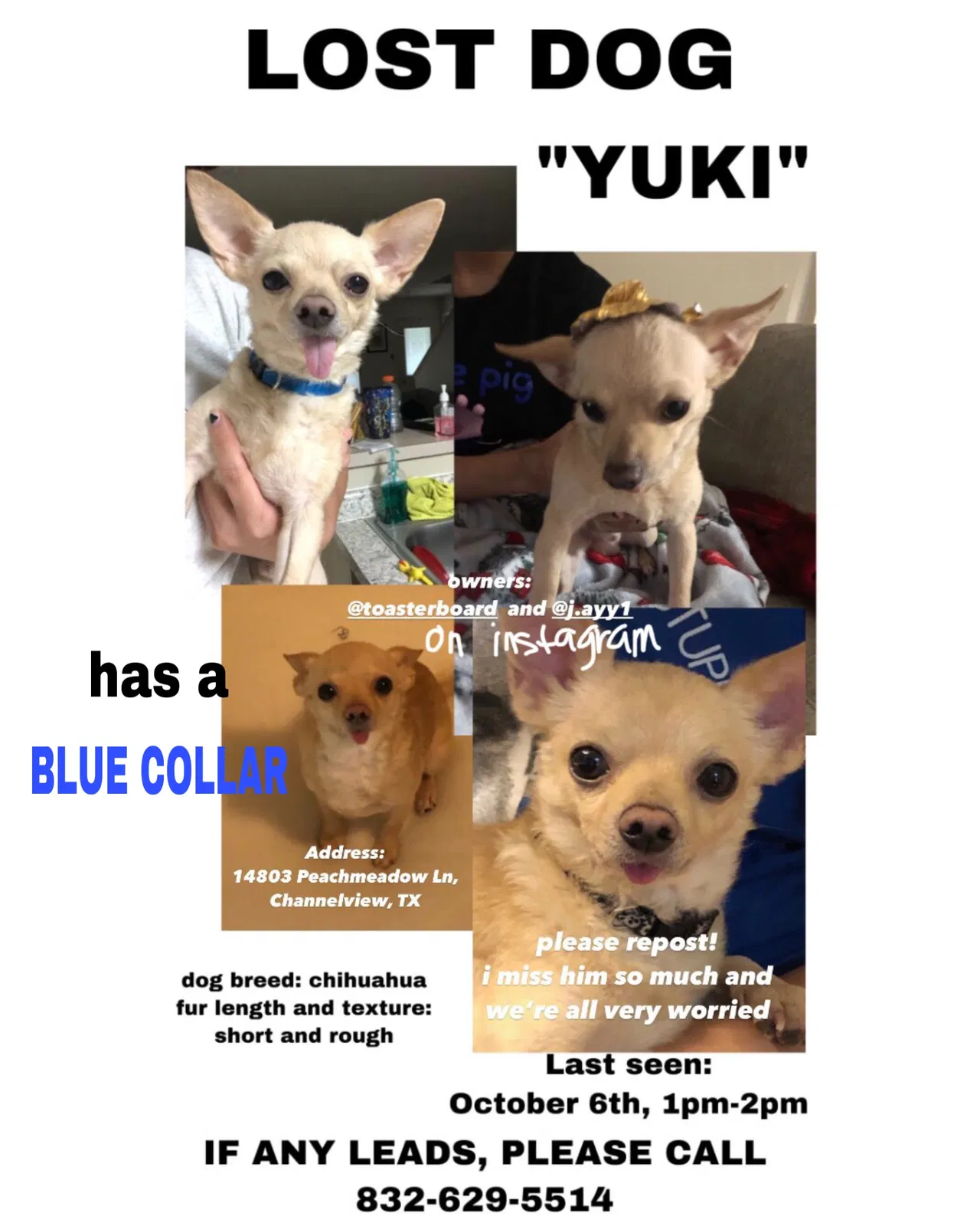 Lost dog in Channelview, TX, 77530