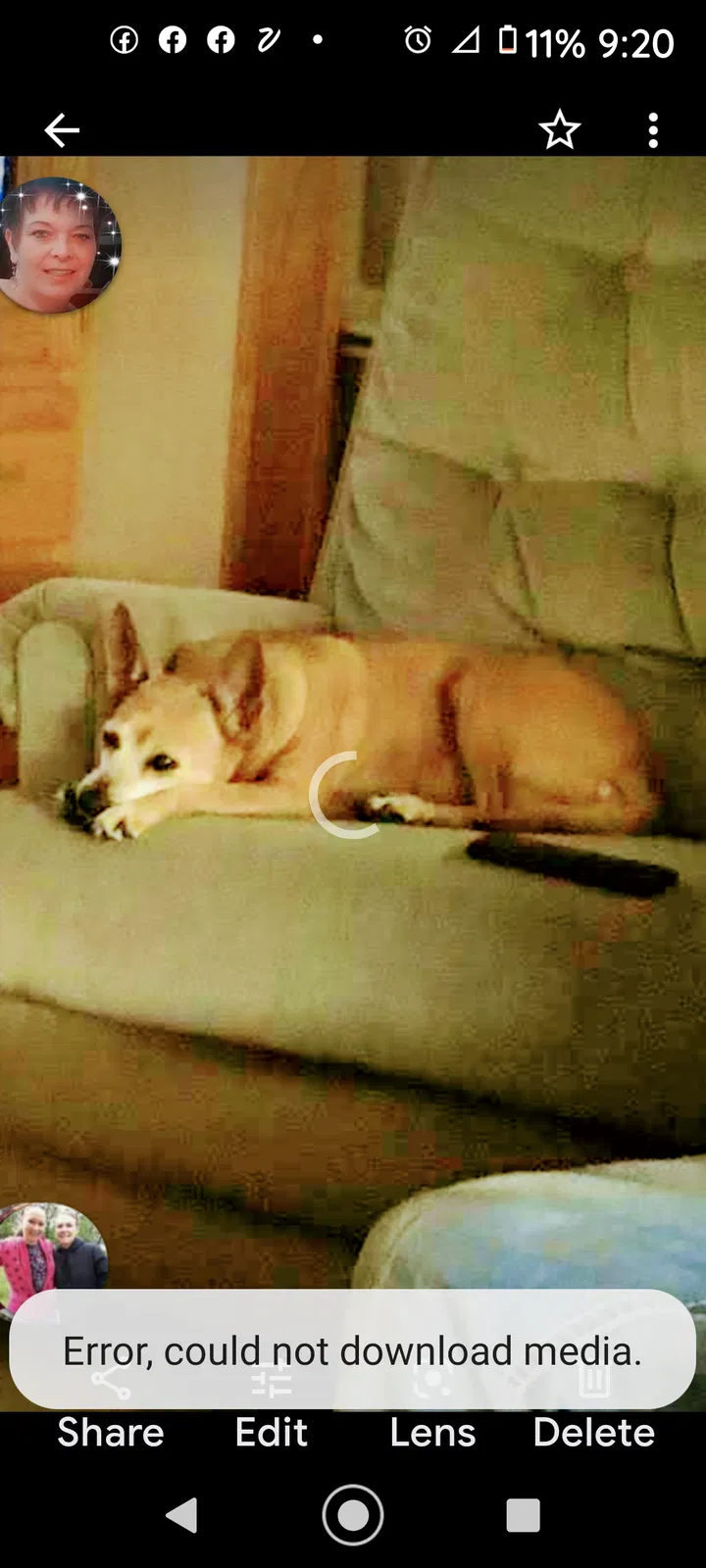 Lost dog in Bristow, OK, 74010