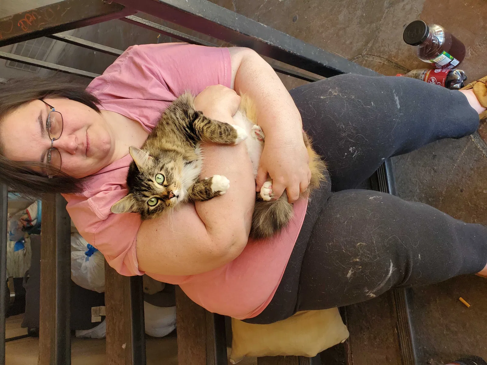 Lost cat in Albuquerque, NM, 87109