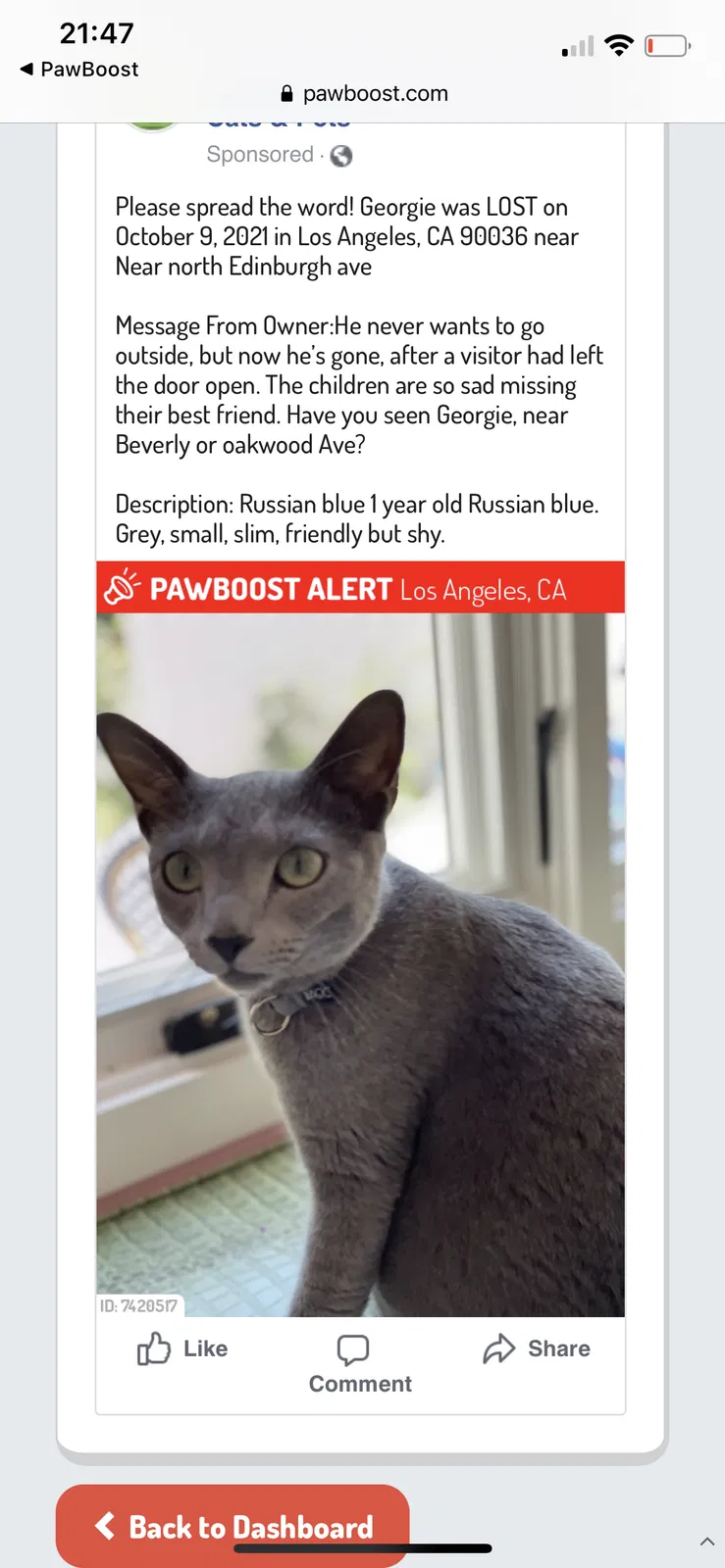 Lost cat in Los Angeles, CA, 90048