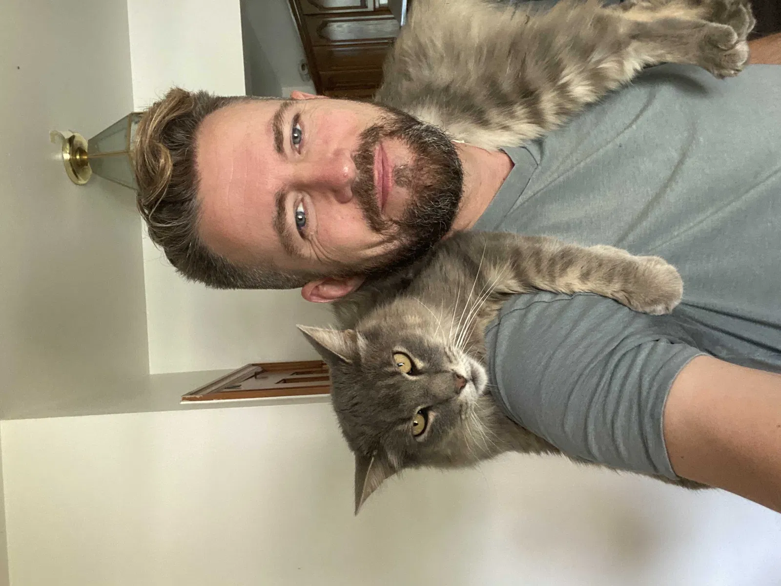 Lost cat in Arvada, CO, 80004
