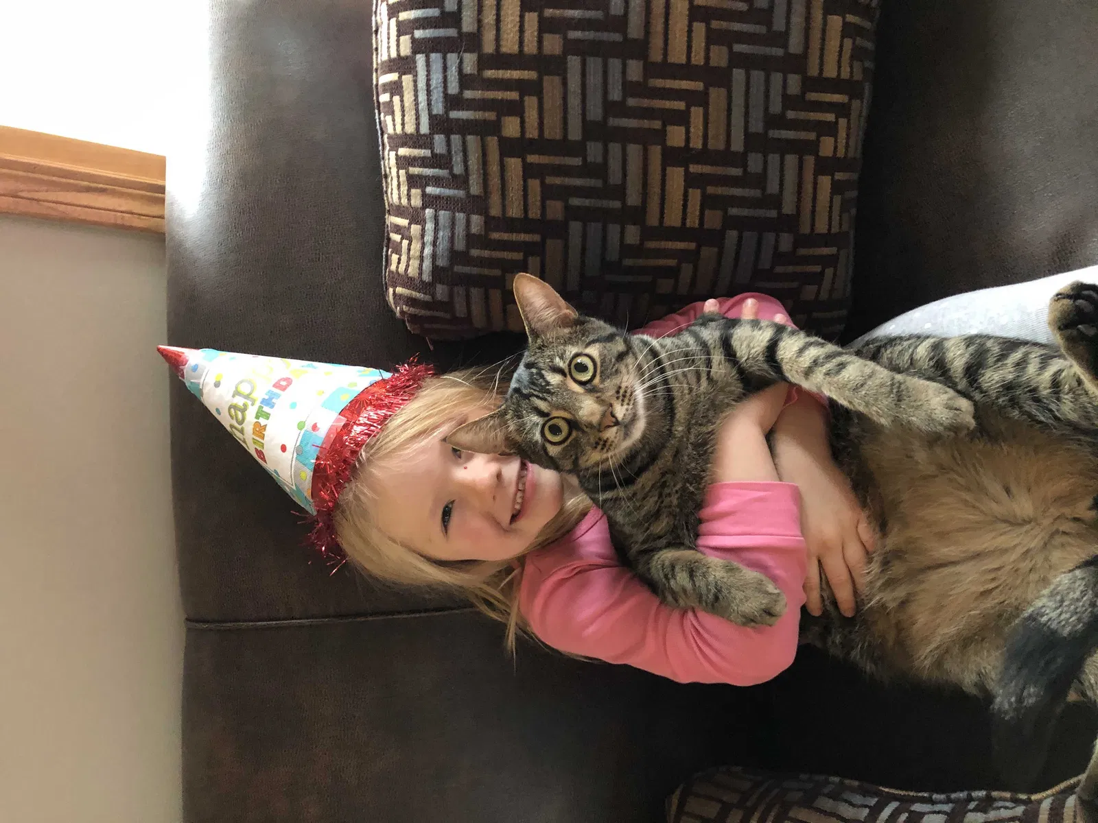 Lost cat in Winter, WI, 54896