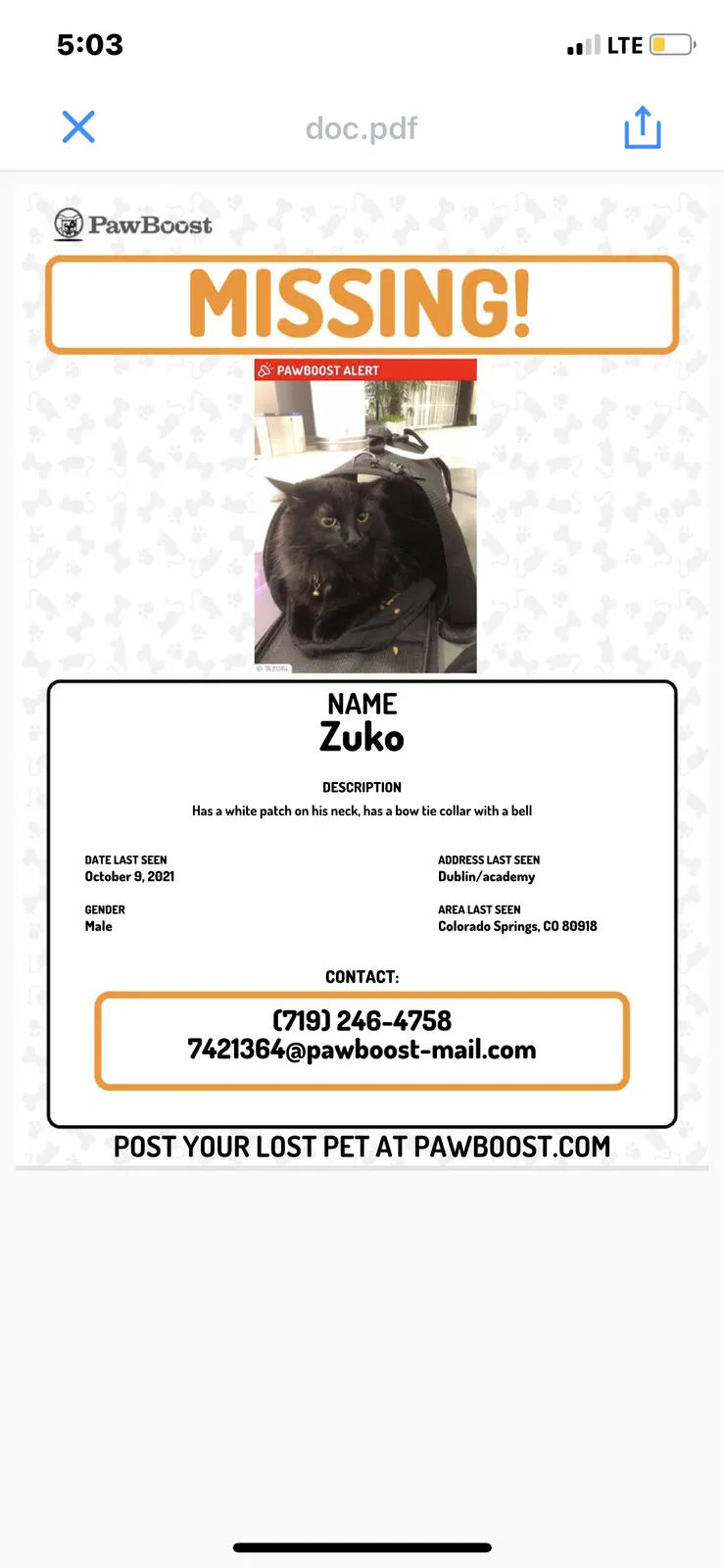 Lost cat in Colorado Springs, CO, 80918
