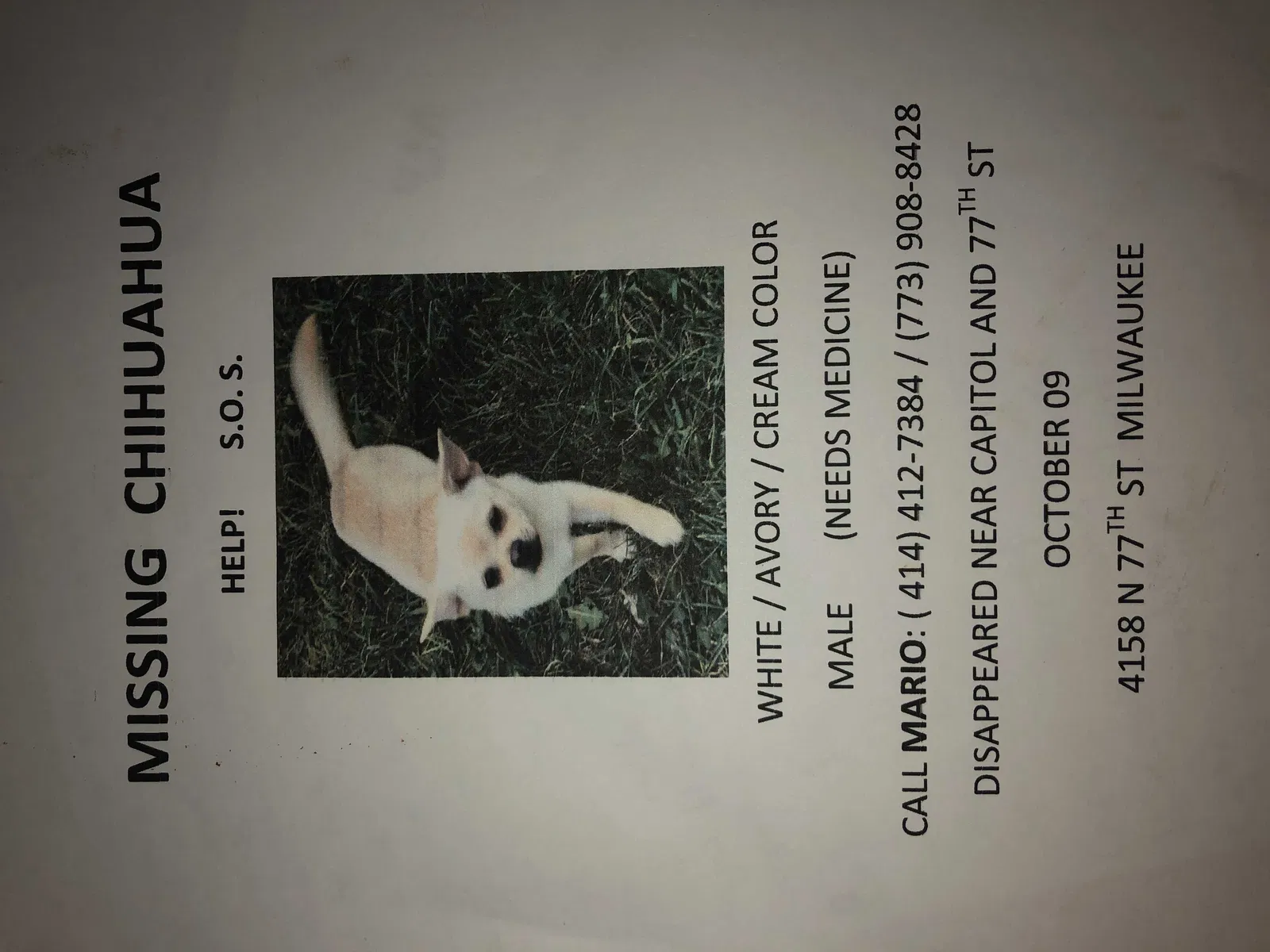 Lost dog in Milwaukee, WI, 53222