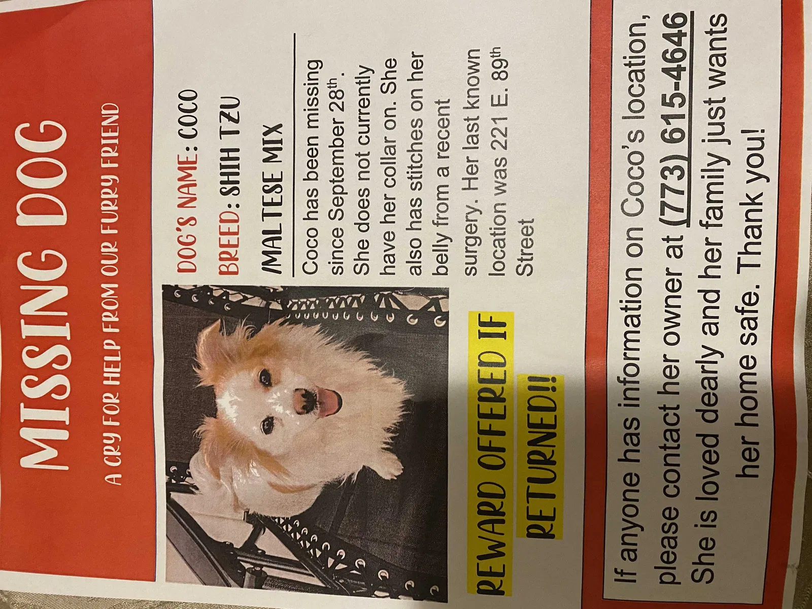 Lost dog in Chicago, IL, 60619