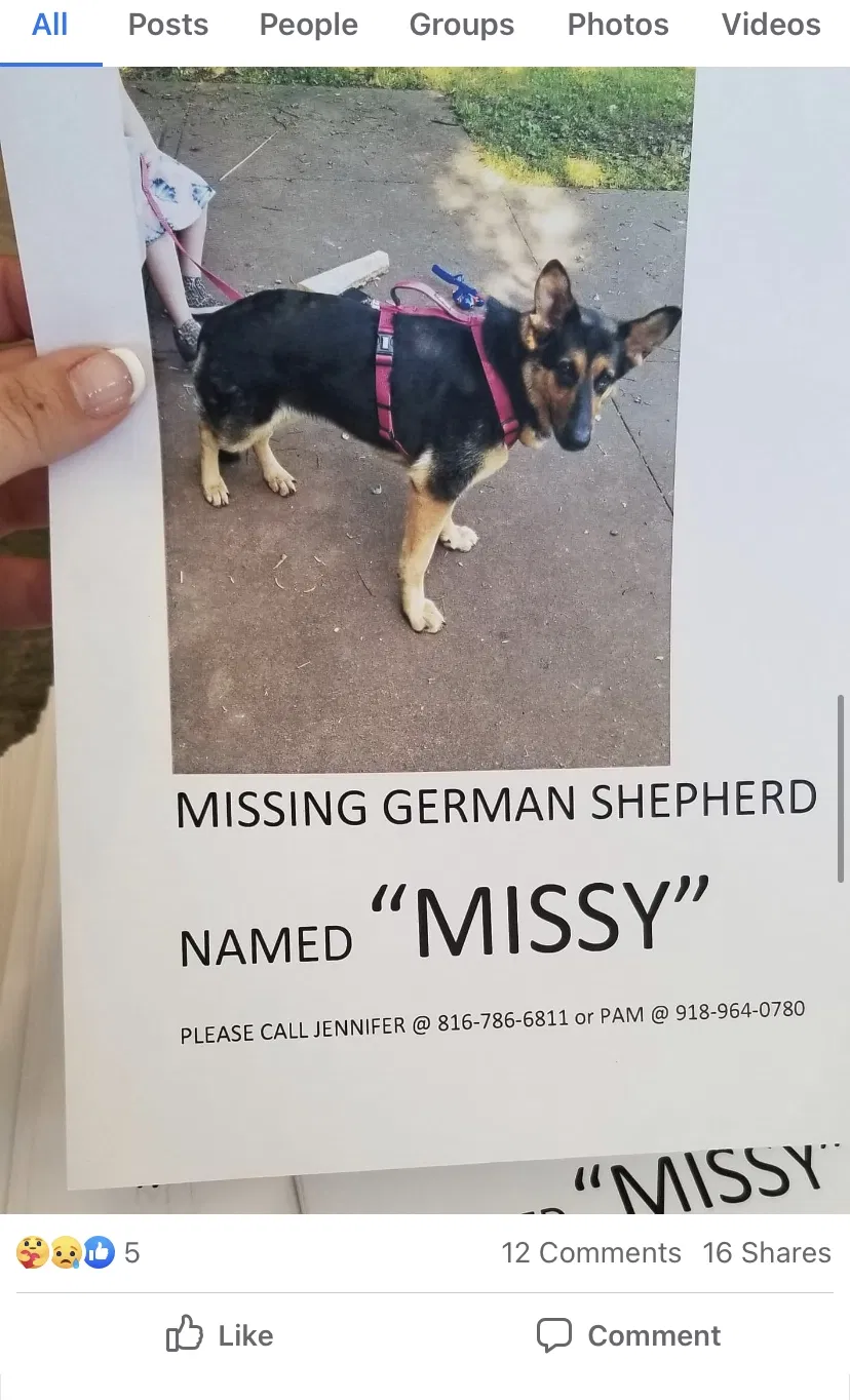 Lost dog in Unknown, OK, 0