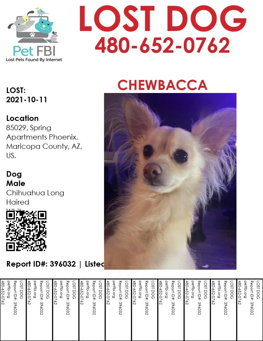 Lost dog in Phoenix, AZ, 85029
