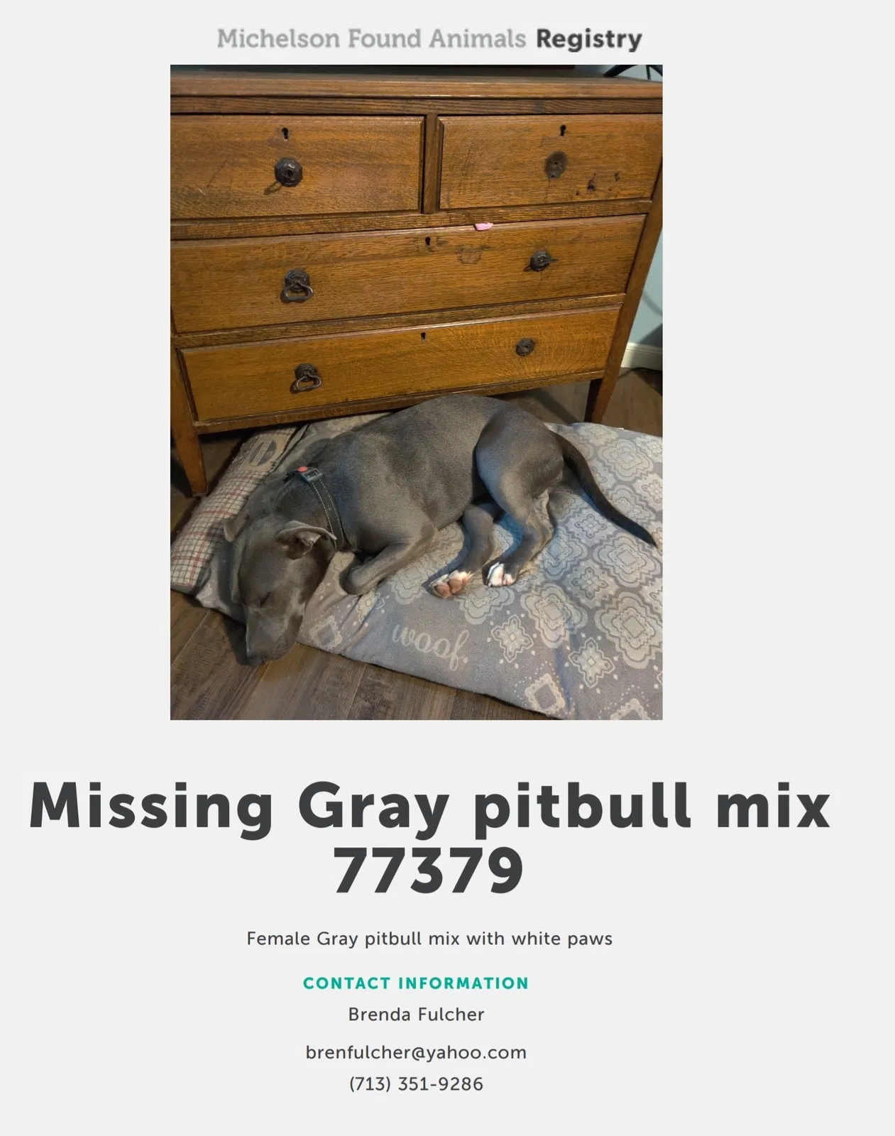 Lost dog in Spring, TX, 77379