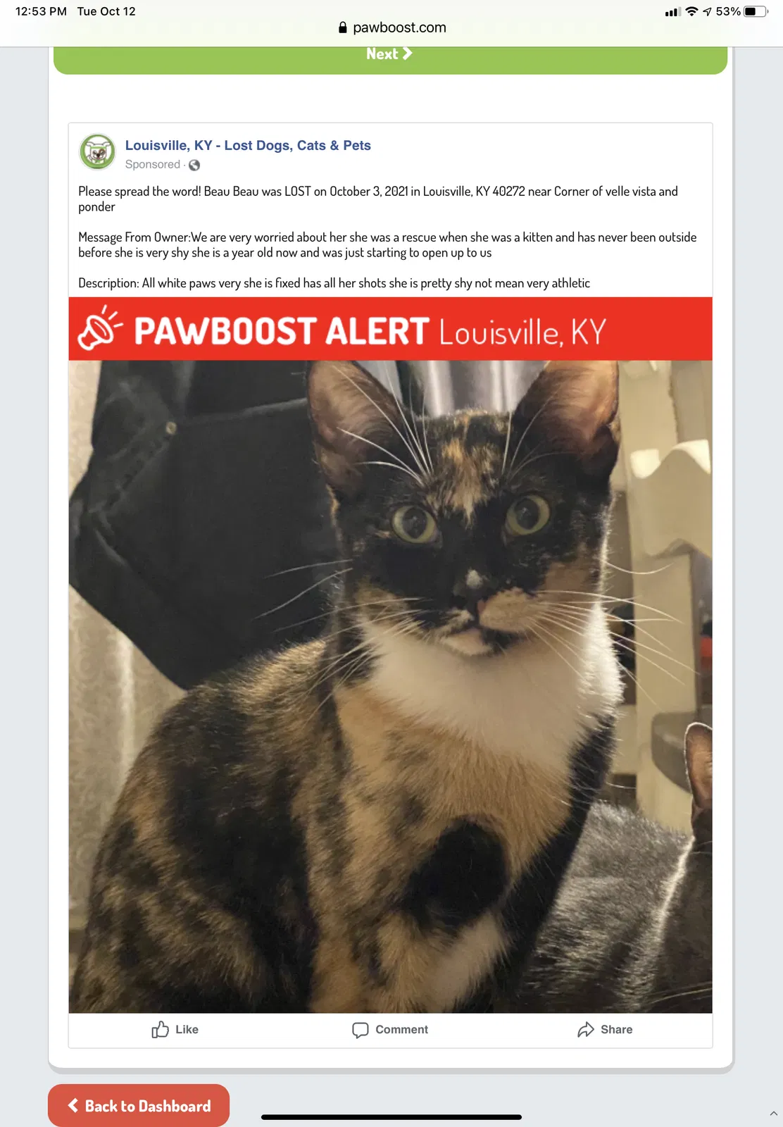 Lost cat in Louisville, KY, 40272