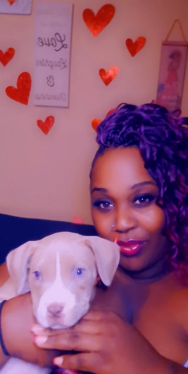 Lost dog in Columbia, SC, 29203