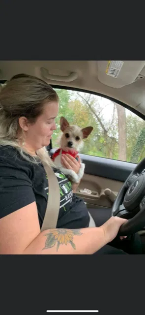 Lost dog in Harpers Ferry, WV, 25425