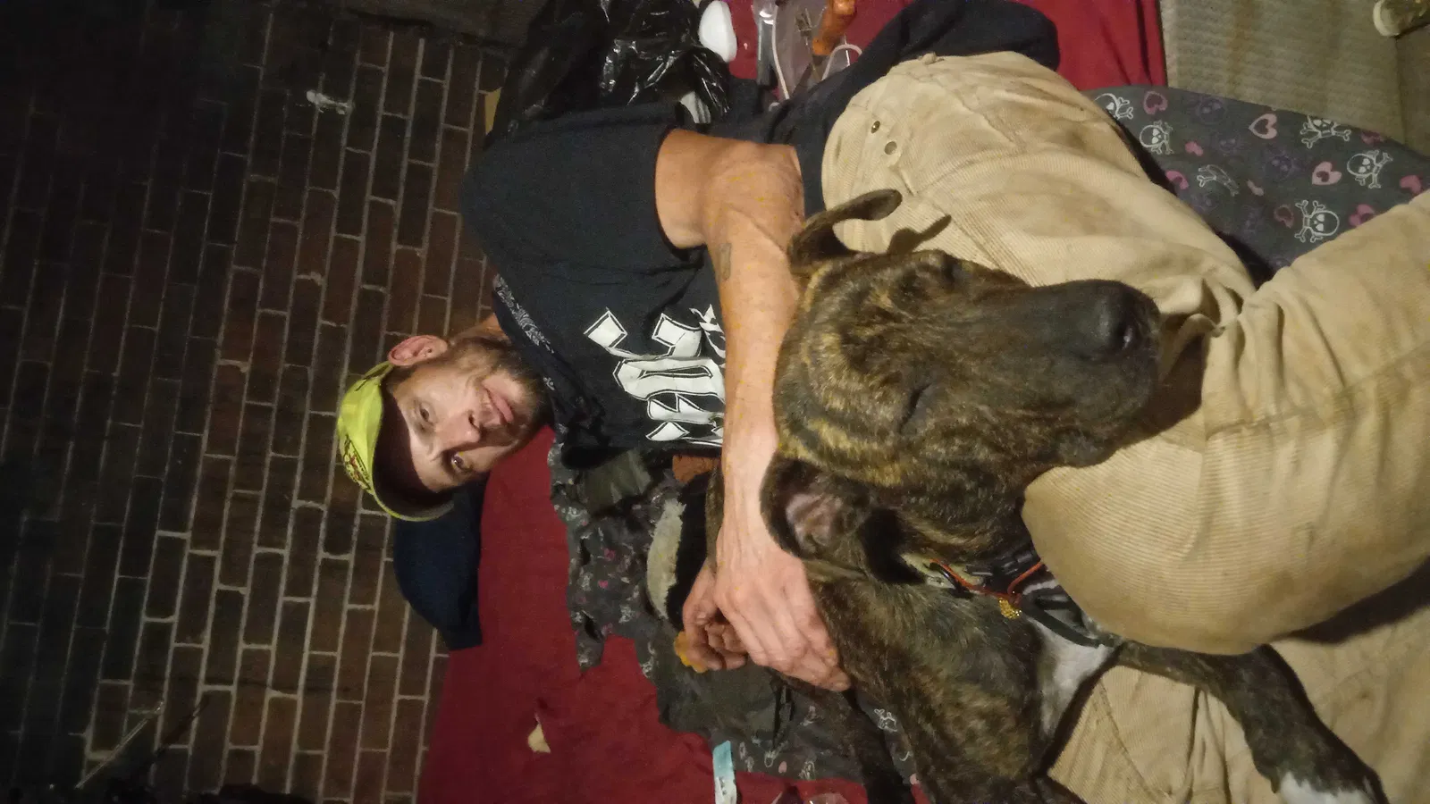 Lost dog in New Orleans, LA, 70117