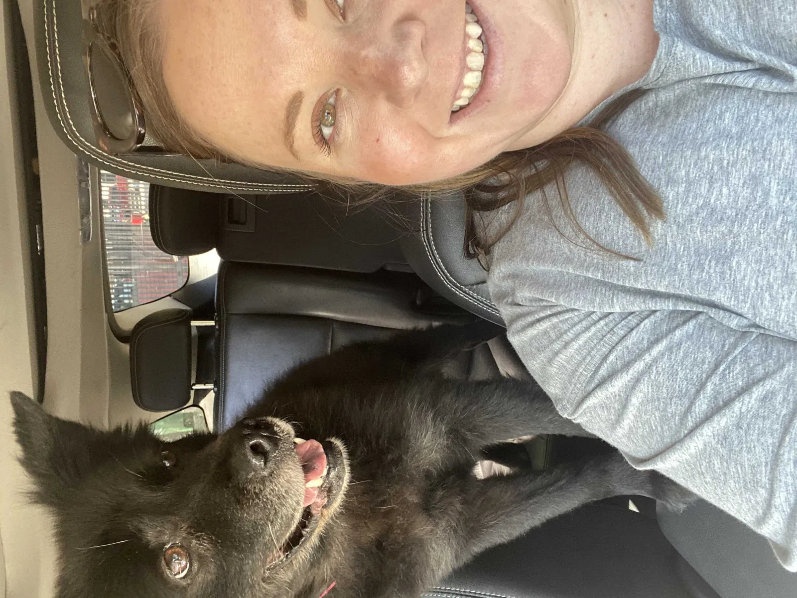 Lost dog in Houston, TX, 77035