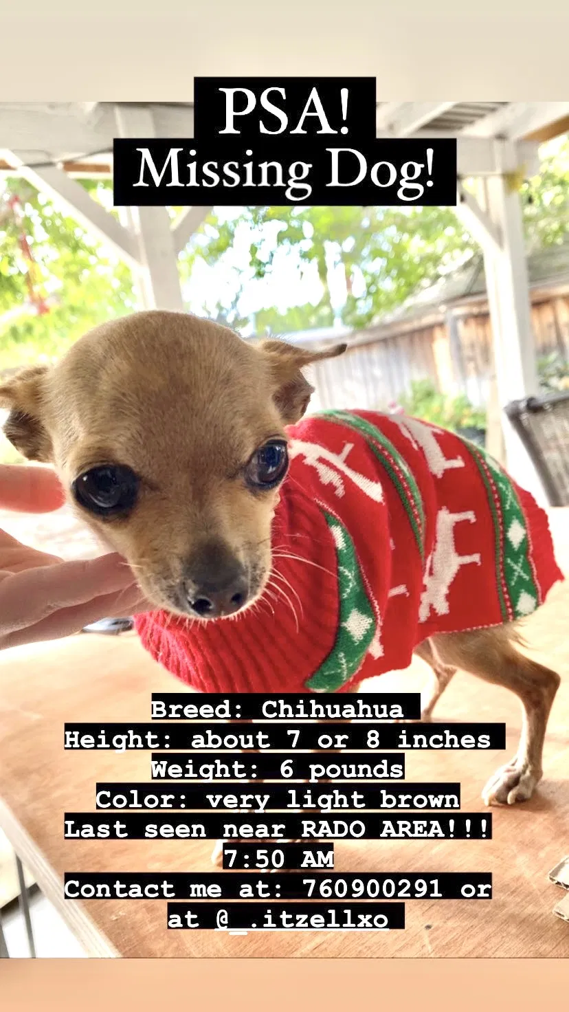 Lost dog in Victorville, CA, 92392
