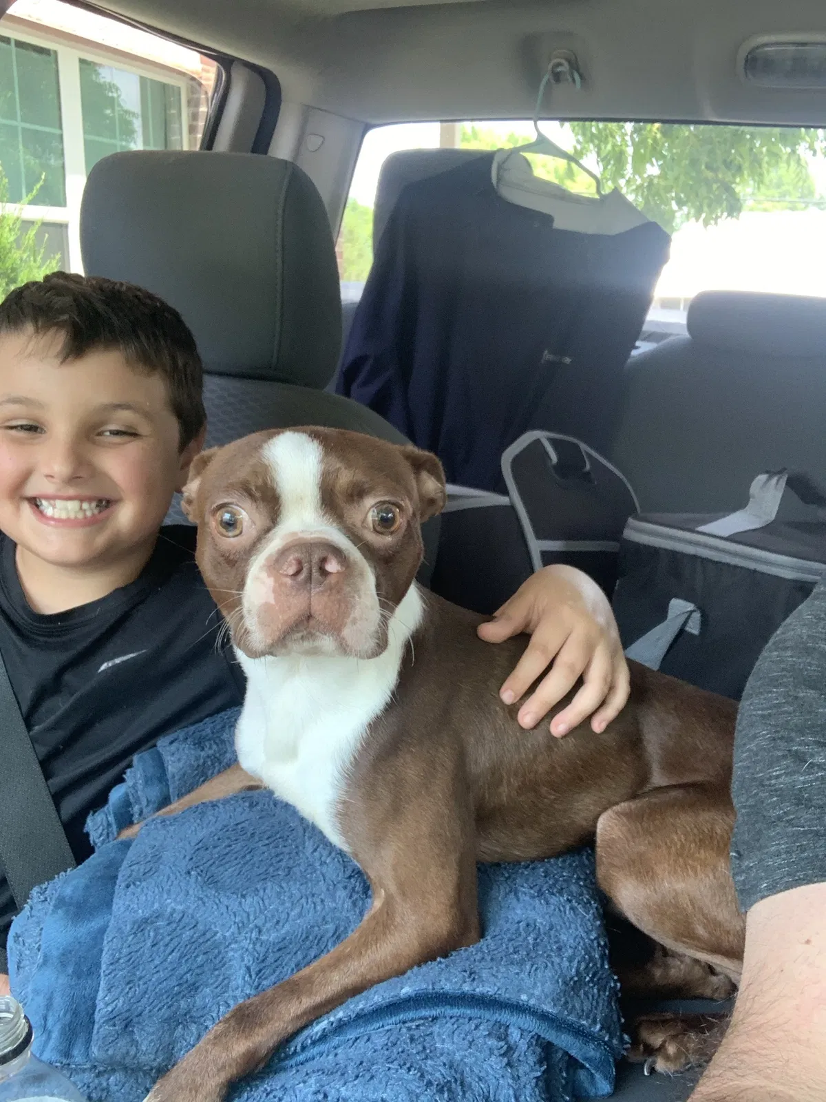 Lost dog in Bonham, TX, 75418