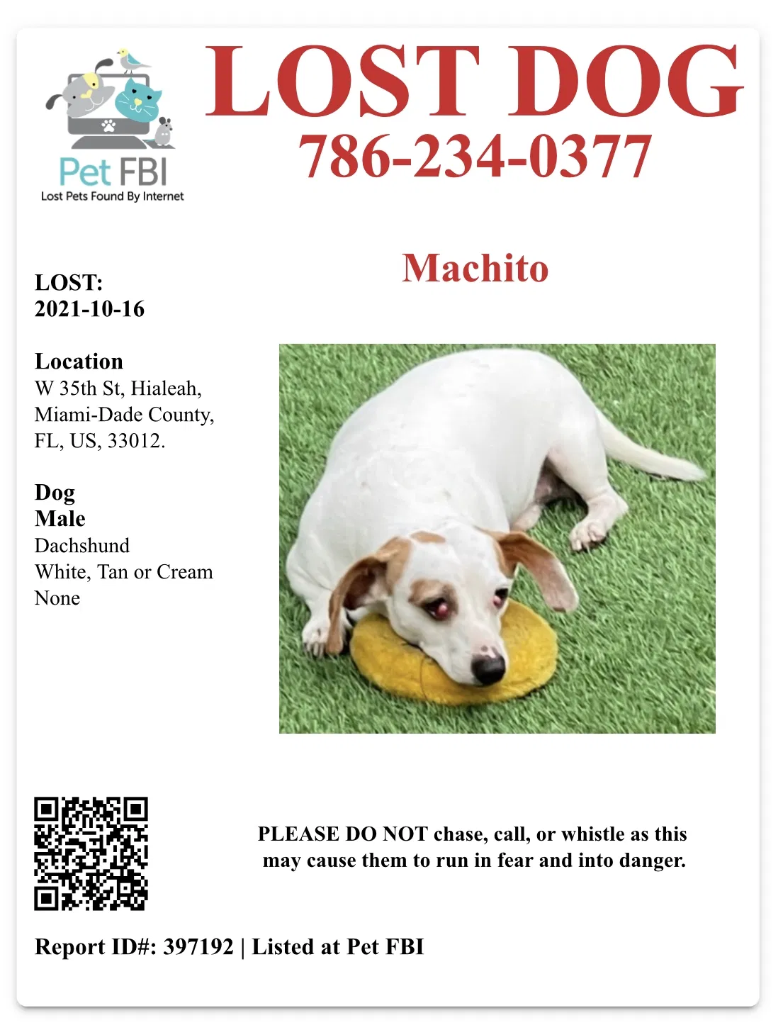 Lost dog in Hialeah, FL, 33012