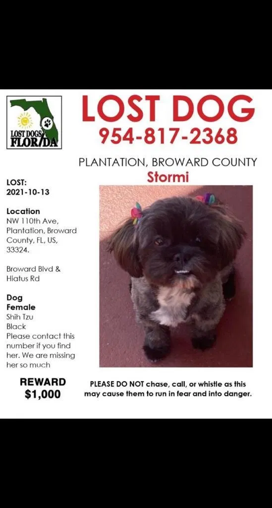 Lost dog in Fort Lauderdale, FL, 33324