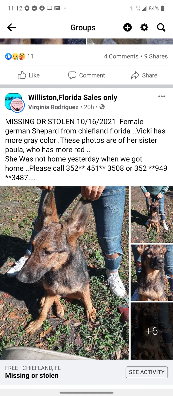 Lost dog in Chiefland, FL, 32626