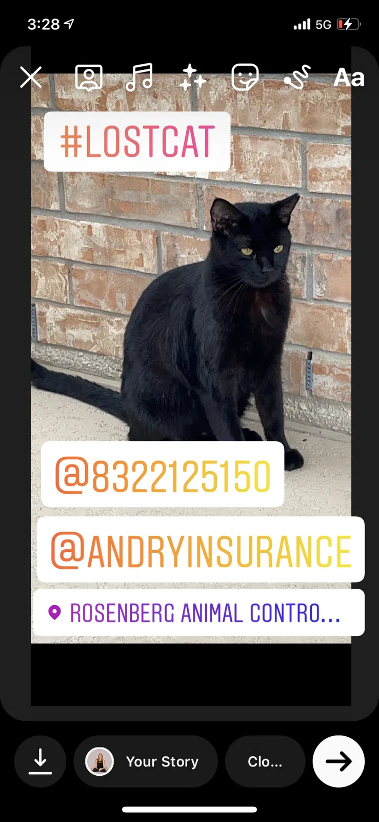 Lost cat in Rosenberg, TX, 77471