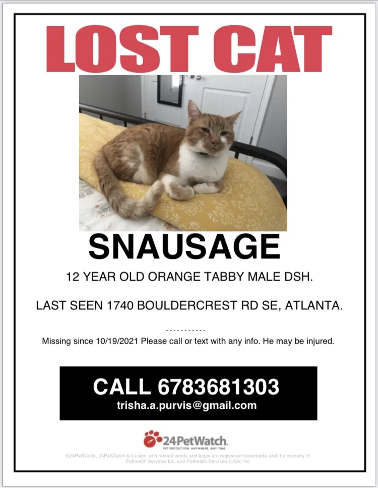 Lost cat in Atlanta, GA, 30316