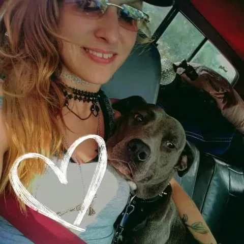 Lost dog in Warrenville, SC, 29851