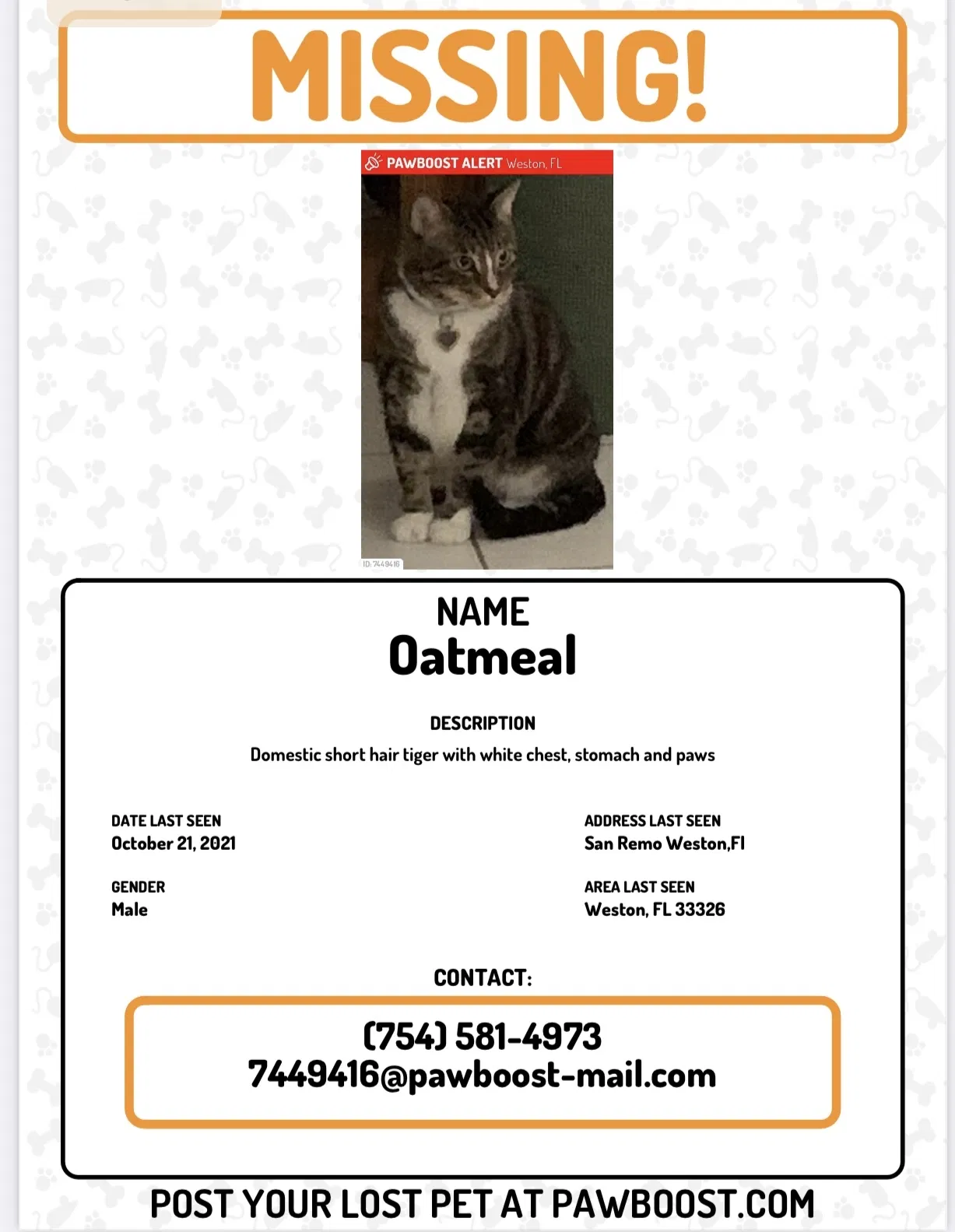 Lost cat in Fort Lauderdale, FL, 33326
