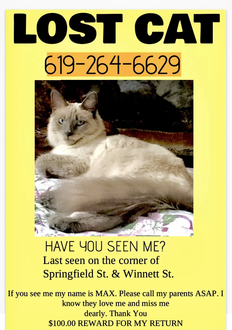 Lost cat in San Diego, CA, 92114