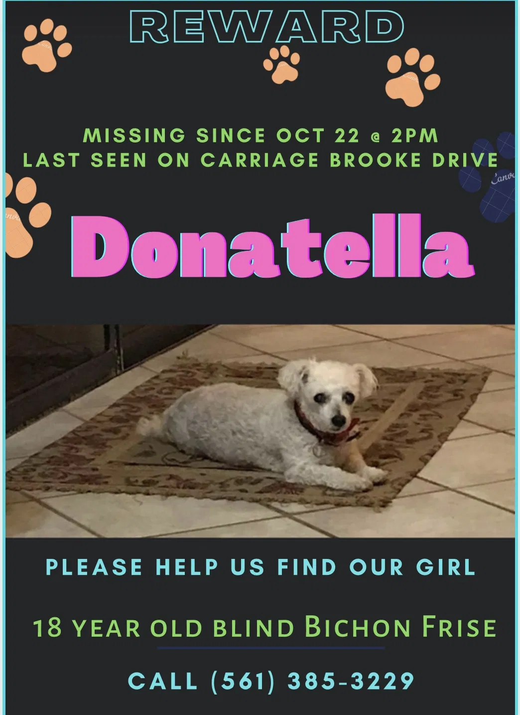 Lost dog in Wellington, FL, 33414