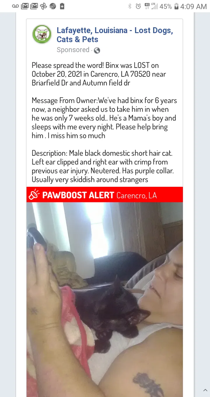 Lost cat in Carencro, LA, 70520
