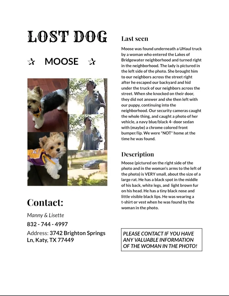 Lost dog in Katy, TX, 77449