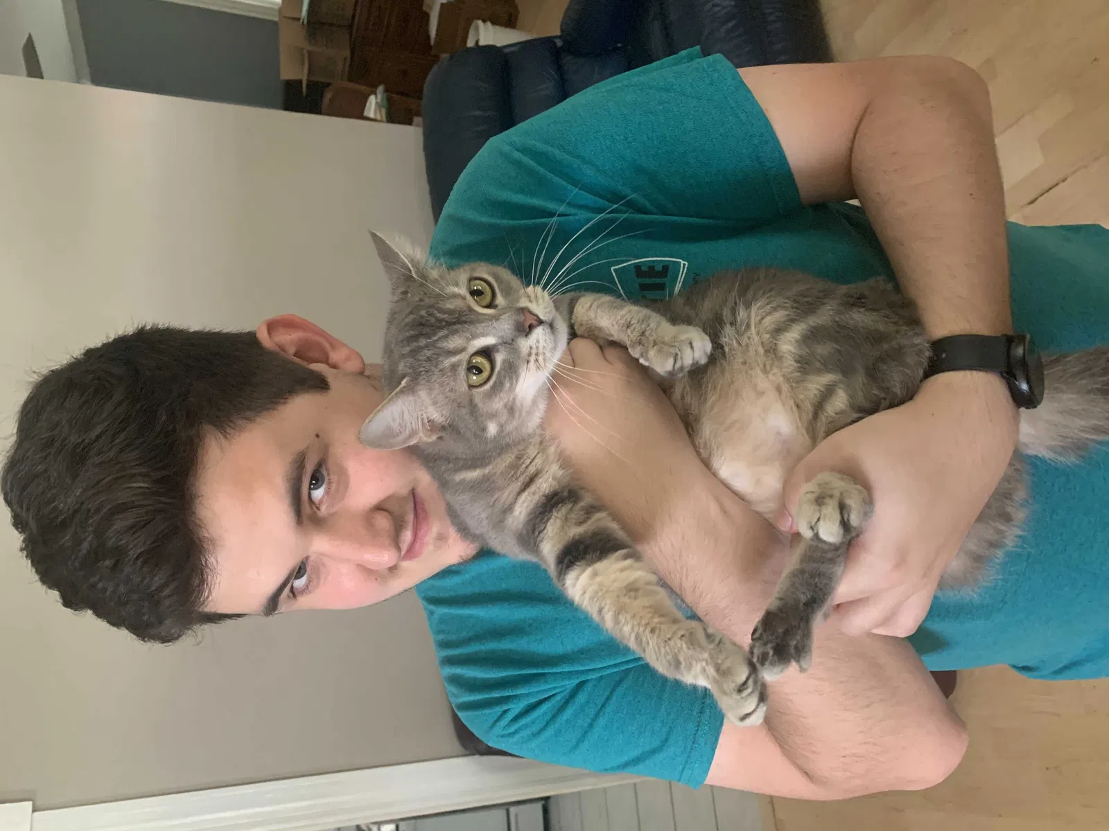 Lost cat in Cincinnati, OH, 45216