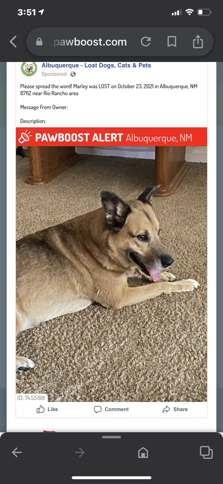 Lost dog in Rio Rancho, NM, 87144