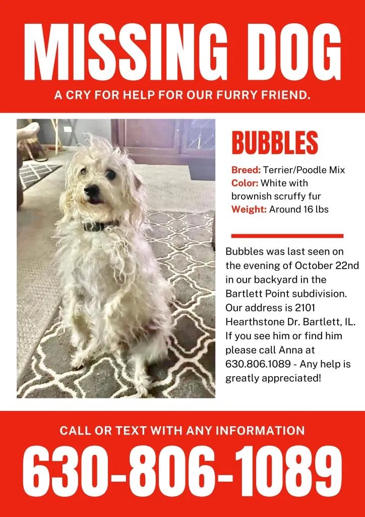 Lost dog in Bartlett, IL, 60103