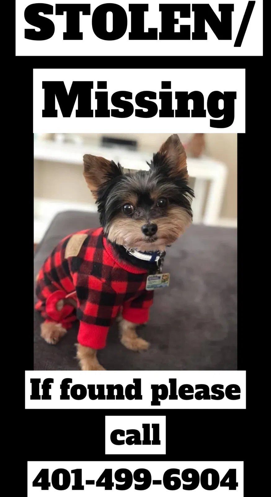Lost dog in Pawtucket, RI, 2860